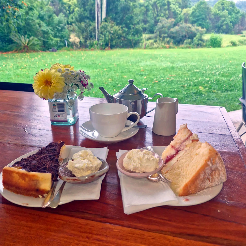 tvc_slide5_1000x1000